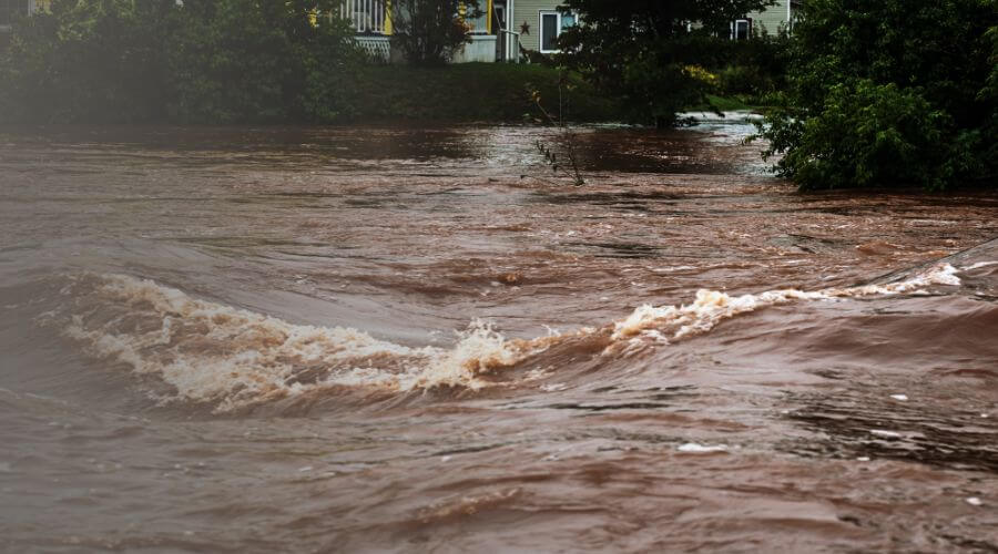 Why choose Blue Line Recovery for water damage restoration in Vaughan